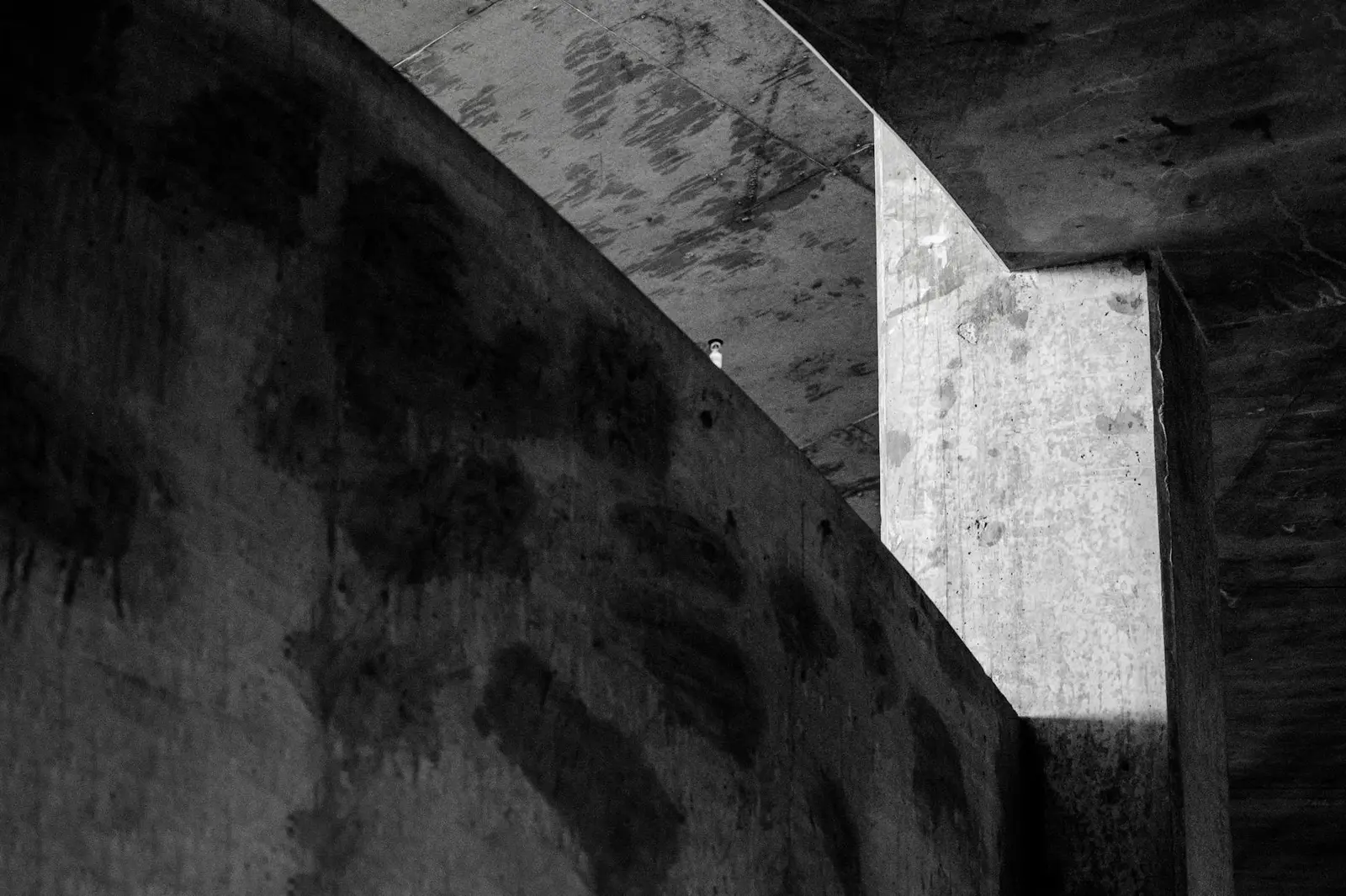 Abstract architectural concrete structure with stark lighting
